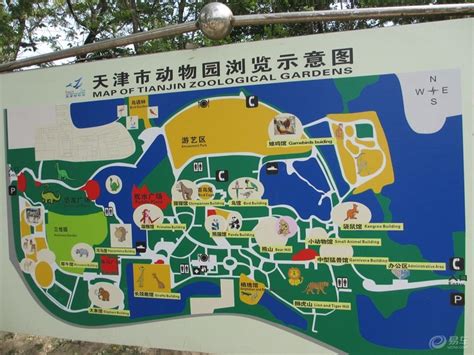 天津動物園在哪個區，這是一個常見的問題。動物園不僅是城市中的一景，也是教育與休閒的好去處。